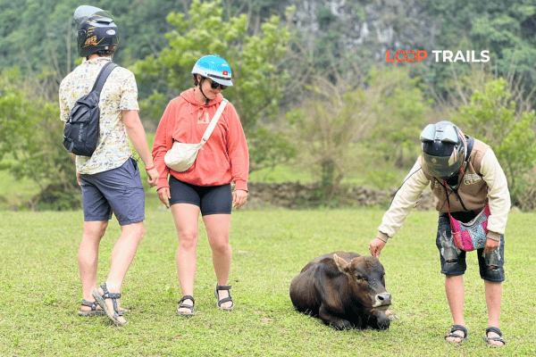 tourists of looptrails visit a farm in cao bang (3) tourists of looptrails visit a farm in cao bang (3)