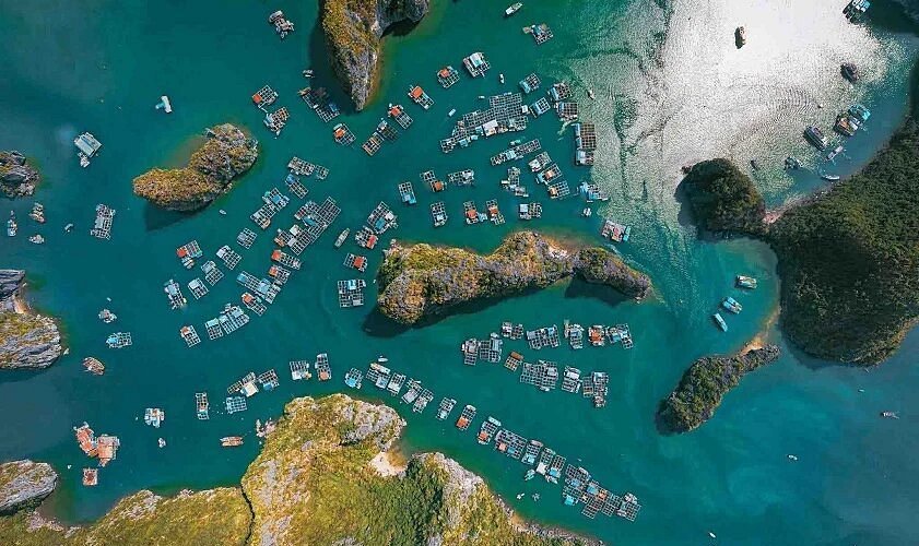 lan-h-bay-is-a-bay-located lan ha bay