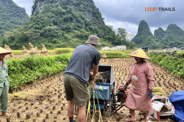customer is trying to work with farmers in cao bang (2) customer is trying to work with farmers in cao bang