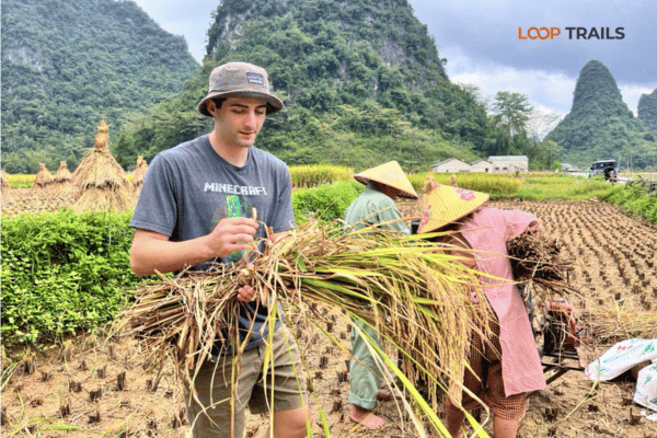 customer is trying to work with farmers in cao bang customer is trying to work with farmers in cao bang
