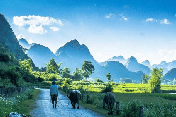 phong nam valley in cao bang (2) phong nam valley in cao bang