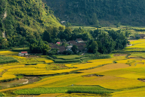 phong nam valley in cao bang (3) phong nam valley in cao bang