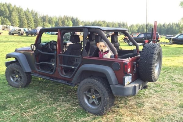A dog resting comfortably in a jeep on the Ha Giang Loop