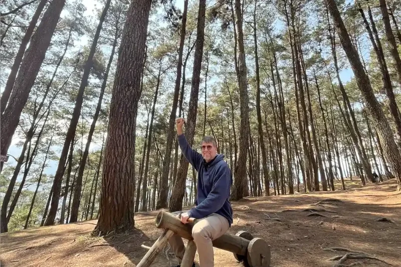 Yen Minh pine forest canopy tall pines Ha Giang province Vietnam
