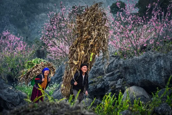 Dong Van Karst plateau in spring with a pause
