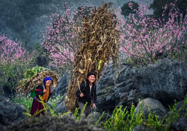 Dong Van Karst plateau