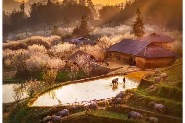 ha giang weather by month