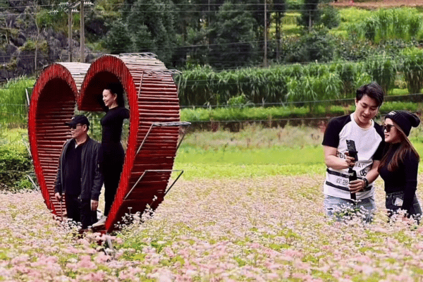 Early morning mist rising from valley floor with buckwheat fields and mountains at sunrise