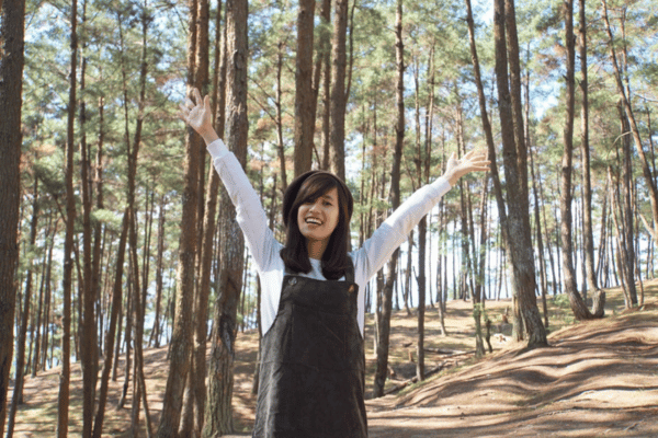 Yen Minh pine forest winter cold season Ha Giang Loop Vietnam