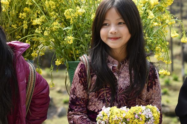 Ha Giang Buckwheat Flower Season: When & Where to See