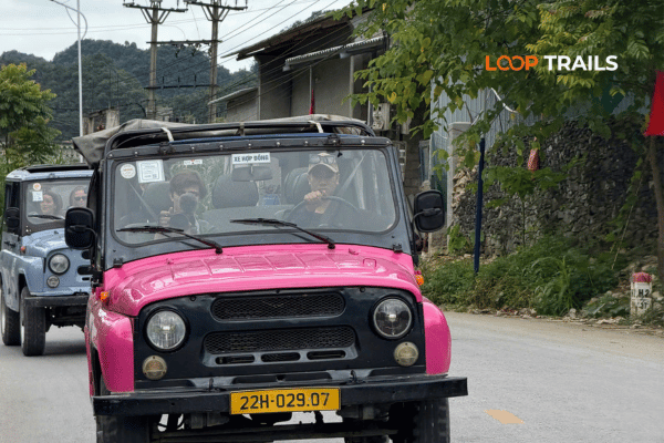 ha giang loop by a pink jeep with looptrails