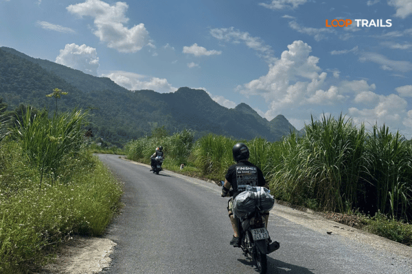 ha giang loop self-drive through ma pi leng pass