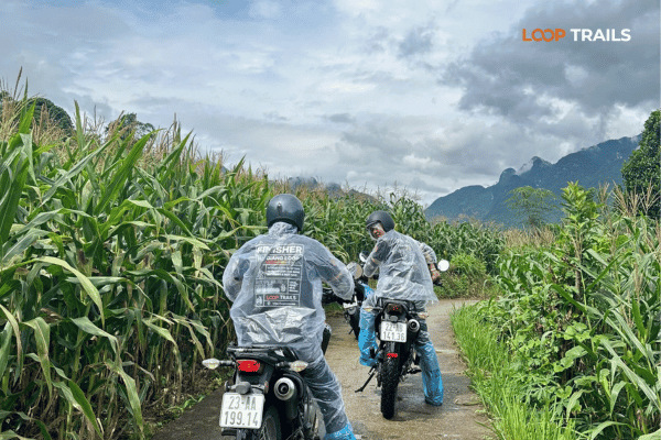 ha giang loop self-drive with looptrails
