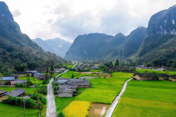 Aerial view of terraced buckwheat fields in Sung La Valley between Dong Van and Meo Vac