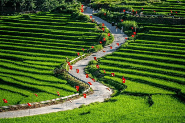 pu luong nature in thanh hoa province Vietnam Adventure Travel Guide 2026
