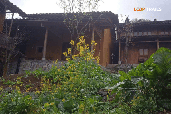 lao xa homestay in dong van ha giang hidden villages