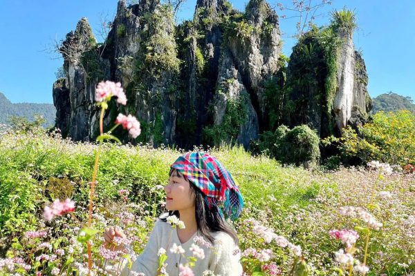 Ha Giang Buckwheat Flower Season: When & Where to See