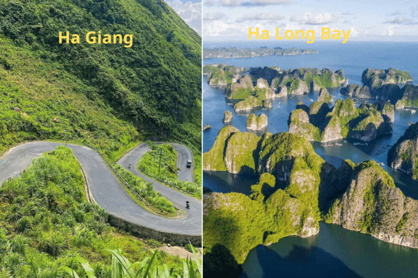 Ha Giang or Halong Bay — comparing Vietnam's two iconic limestone destinations