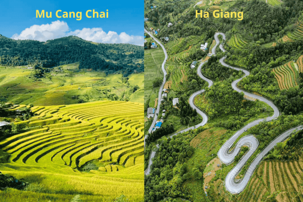 Ha Giang Loop karst landscape versus Mu Cang Chai rice terraces comparison