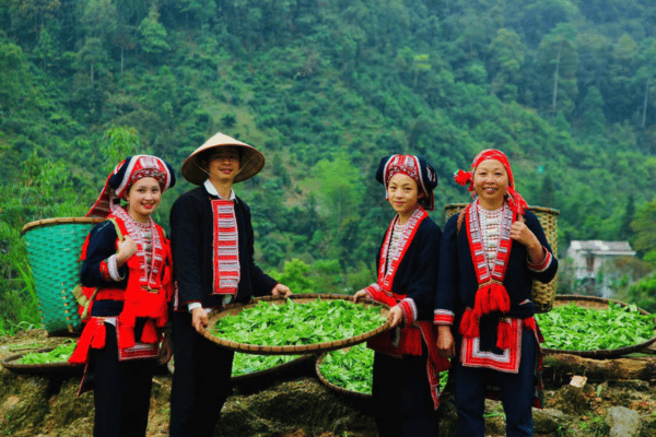 Red Dao village above the clouds in Hoang Su Phi, Ha Giang
