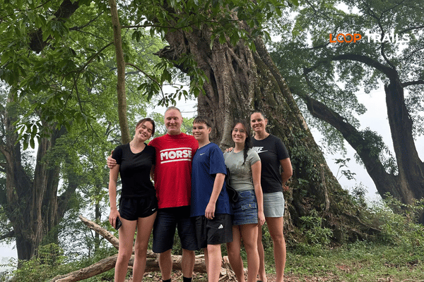 take photos in an old tree in cao bang