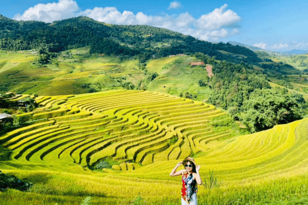 terraces field in mu cang chai, yen bai ha giang loop vs mu cang chai