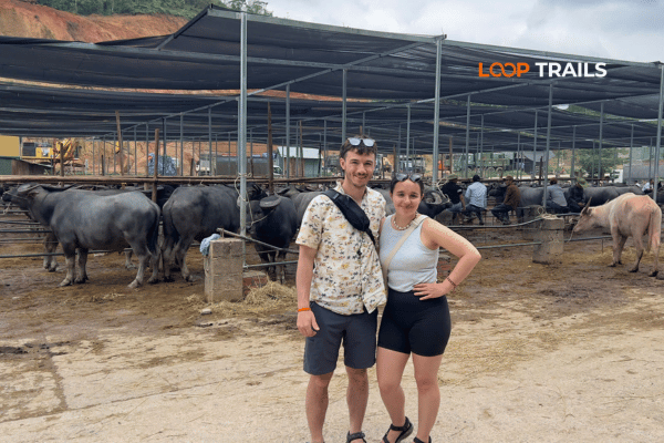 tourists of looptrails visit a farm in cao bang (4)