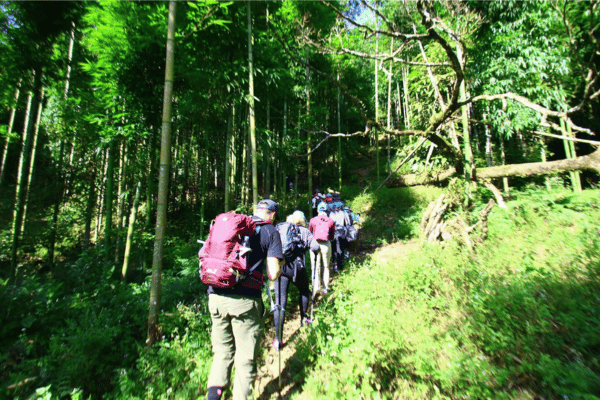 trekking in ha giang on ha giang loop