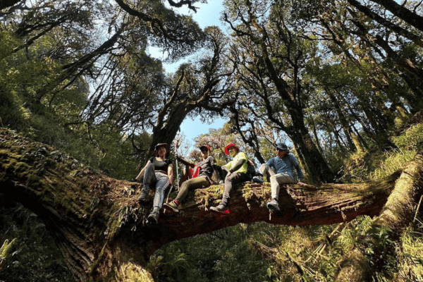 trekking in ha giang with looptrails