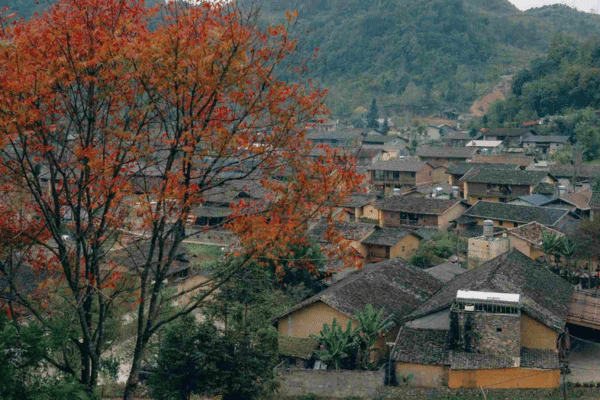Homestay in Lo Lo Chai village Ha Giang Loop ethnic minority overnight stay