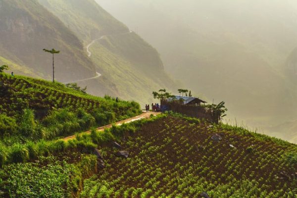fog view in ha giang